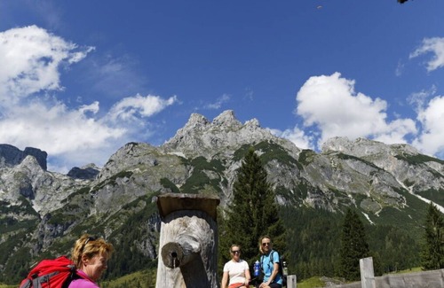Pfarrwerfen House | Cozy Villa Apartment for 4 with WIFI and Pet-Friendly Perks