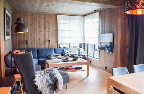 Hol Municipality Apartment | Cozy Apartment in Geilo with Kitchen for Family Fun