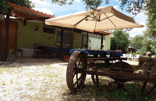 Dorgali Apartment | Cozy Apartment Surrounded by Lush Greenery & Amenities