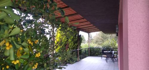 Urrunaga House | Charming Cat's Room Urrunaga: Family-Friendly Getaway