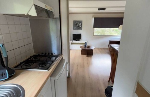 Anloo House | Lovely chalet at Park Kniphorst