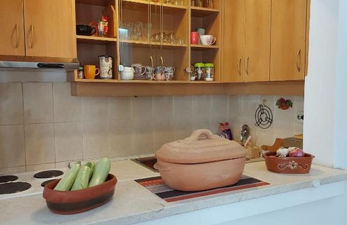 Golubovina Apartment | Cozy Family Apartment in Budva with Pet-Friendly Amenities