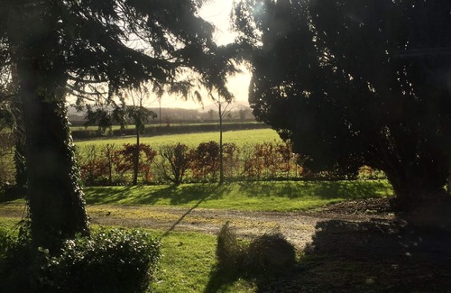 County Laois House | Family Suite with Interconnecting Bedrooms & Breakfast Included