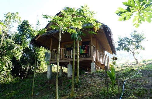 San Pedro Cottage | Cozy Guesthouse in Paradise Garden with Breakfast Included