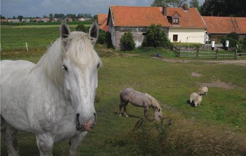 Hames-Boucres House | Family-Friendly Retreat in Hames Boucres with Kitchen
