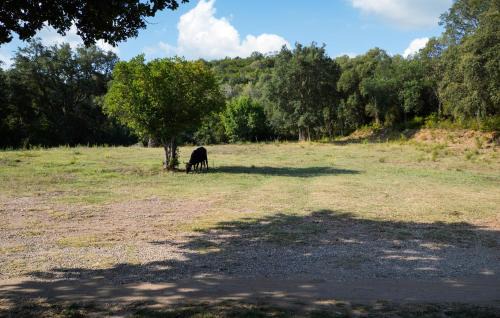 Casamozza House | Lovely Home In Vignale With Wifi
