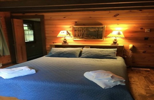 Wilmington Cabin | Lovely log home on the AuSable River