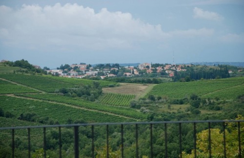 Baredine Villa | Elegant Villa with Private Heated Pool & Vineyard Views
