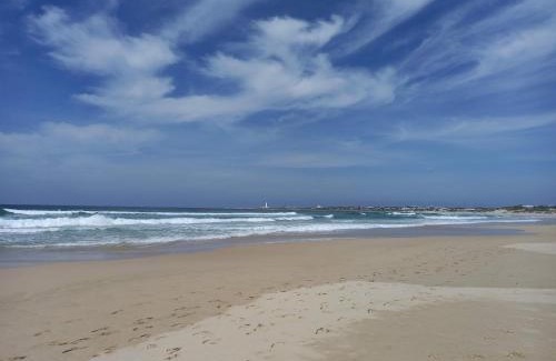 Cape Saint Francis Apartment | Modern Flat with Ocean View Near Beach and Restaurants