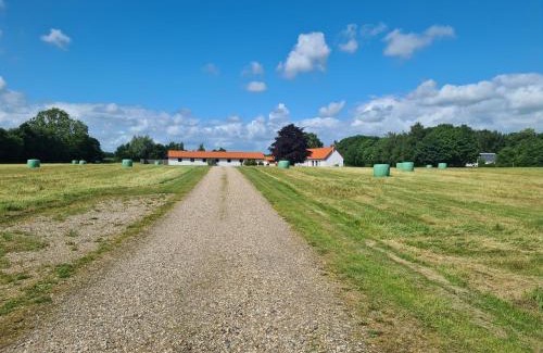 Rask Mølle Apartment | Convenient Access Room Near E45 Highway, Rated 9.3/10