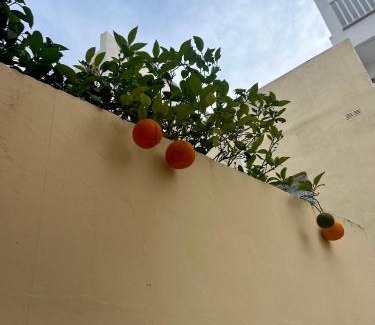 Tal-Ghoqod House | Cozy Room in Prime Location: Your Ideal Getaway