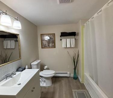 Queens Square House | Lovely single room 5 minutes walk from ocean