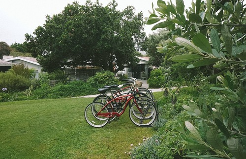 Knysna Hotel | Exceptional Lovemore Lodges in Knysna with Family Amenities