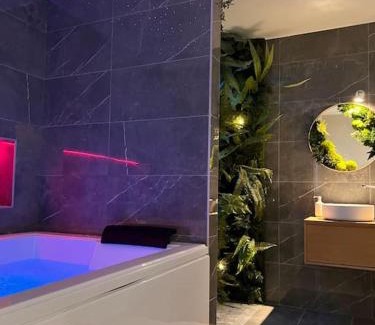 Jujurieux Apartment | Relaxing Room Retreat with Jacuzzi: La Terre Awaits