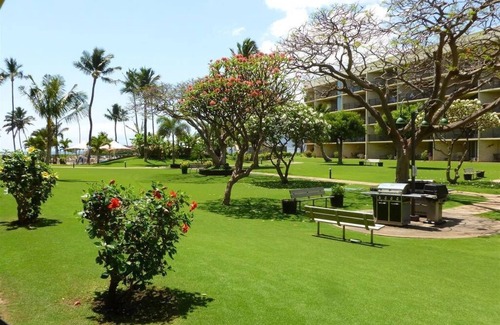 Kihei Condo | Affordable Getaway: Pet-Friendly Oceanfront Retreat in Kihei