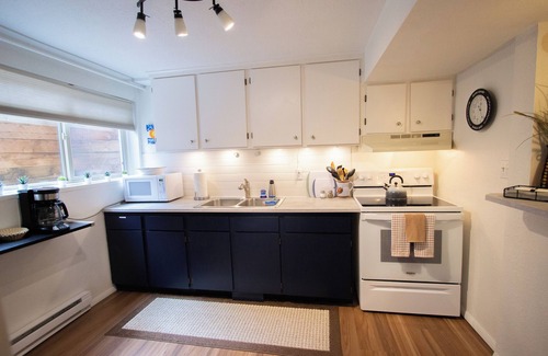 Central Colorado Springs Apartment | Classic 50's Ranch - Guest Rated 10/10, Pet Friendly Stay