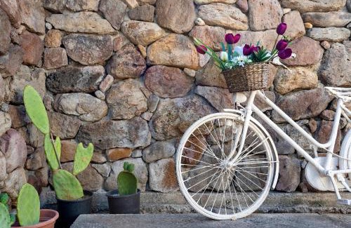 Putifigari Apartment | Pet-Friendly Retreat at Lu Casal de Fiò with High Ratings