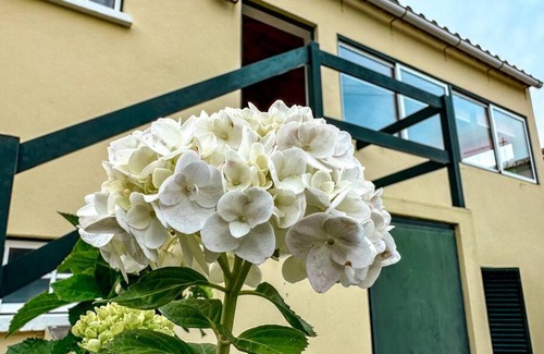 Biscoitos Apartment | Cozy Luana House: Family-Friendly Retreat with Great Reviews
