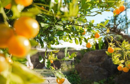 Yabu House | Child-Friendly Retreat at Luana: Unwind and Explore