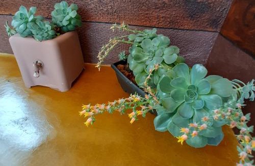 Lavras Novas House | Pet-Friendly Retreat at Luar de Minas Suites - Rated 9/10