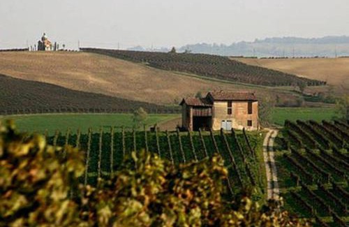 Seguzzone Apartment | Inviting Luca House: Pet-Friendly Stay with Breakfast Included