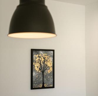 Zavala Apartment | Cozy Lucas Apartment: Pet-Friendly Retreat with Pool Access