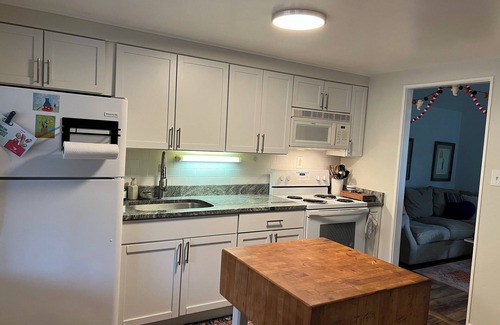 South Bend House | Luck o' the Irish-charming cottage1000/night 2 mi from ND stadium. Pet Friendly!