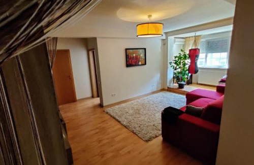 Old City Apartment | Discover Lucky Home Timisoara: 4-Star Pet-Friendly Retreat