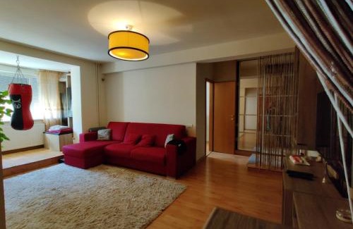 Old City Apartment | Discover Lucky Home Timisoara: 4-Star Pet-Friendly Retreat