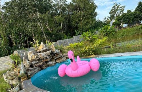 Phuoc Tan Hotel | Family-Friendly Lucky Star Resort with Pool & Restaurant