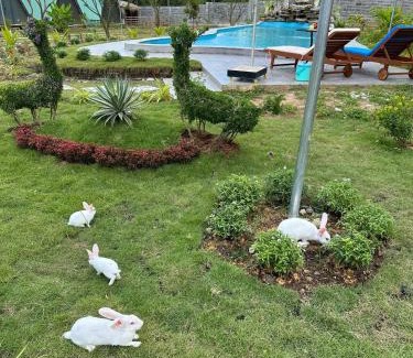 Phuoc Tan Hotel | Family-Friendly Lucky Star Resort with Pool & Restaurant