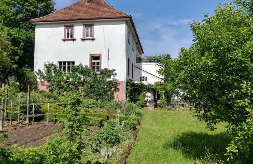 Lemberg Apartment | Exceptional Stay at Ludwig im Künstlerhaus - Family Friendly
