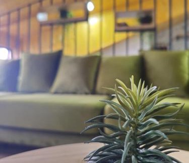 Tirana Apartment | Child-Friendly Lulebore Apartament 1 - Guest Rated: 9.9