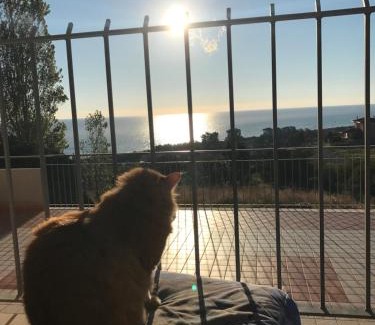Badolato Apartment | Discover Luna Apartments: Oceanfront & Pet-Friendly Stay