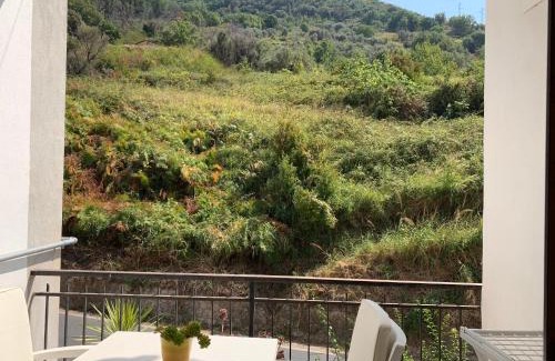 Sangineto Bed & Breakfast | Discover Luna e Stelle: Oceanfront Retreat with Top Amenities