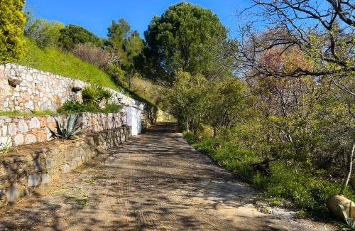 Skopelos Apartment | Lunara Forest Escape Pyrgos Skopelos