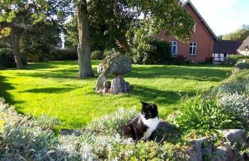 Horne Apartment | Comfortable Lundsgaard Apartments: Pet Friendly & Family Ready
