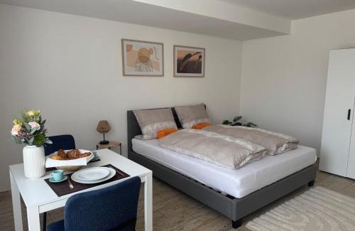 Laudenbach Apartment | Lunetha Homes