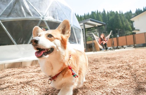 Eiheiji-cho Hotel | Discover Family-Friendly Retreat at Lupo Forest Echizen Miyama