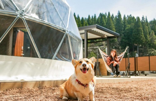 Eiheiji-cho Hotel | Discover Family-Friendly Retreat at Lupo Forest Echizen Miyama