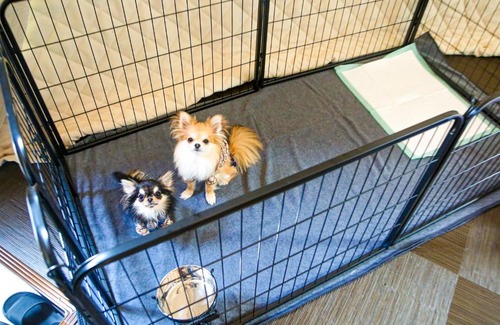 Eiheiji-cho Hotel | Discover Family-Friendly Retreat at Lupo Forest Echizen Miyama
