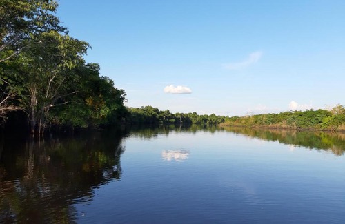 Indiana Other | Discover Lupuna Jungle Tours with Oceanfront Excursions