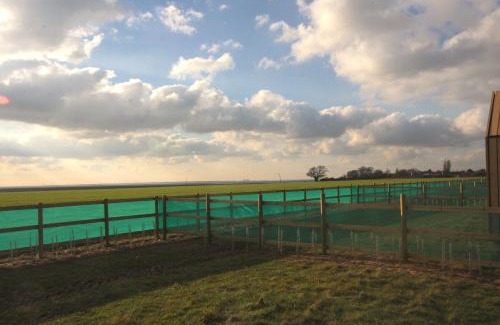 Brightlingsea House | Charming Lushna 3 at Lee Wick Farm: Pet-Friendly Retreat