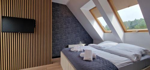 Polanica-Zdroj Apartment | Exceptional Duplex Apartment with Pet-Friendly Amenities