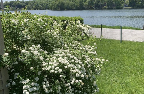Lake Carmel House | Cozy Bungalow by Gorgeous Lake: Explore, Relax & Enjoy!