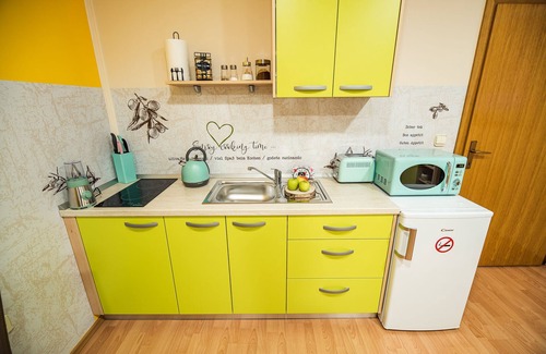 Catez ob Savi Apartment | Top-Rated Living Apartment Budic with Family-Friendly Amenities