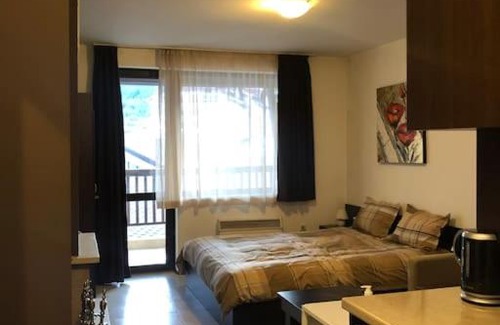 Shiligarnika Apartment | Cozy Studio with Fireplace & Pool Access in Spa Hotel