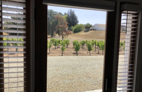 Temecula House | Experience Lux Vineyard Escapes: Guest Suite with Spa & Breakfast