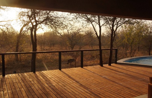 Marloth Park Villa | Elegant Afrikaanse Bushvilla with Heated Pool near Kruger Park