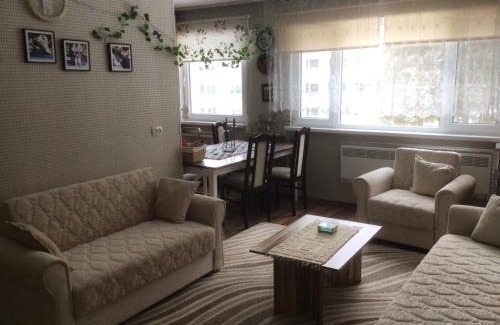 Pussi Apartment | Modern Apartment with Pet and Child-Friendly Amenities